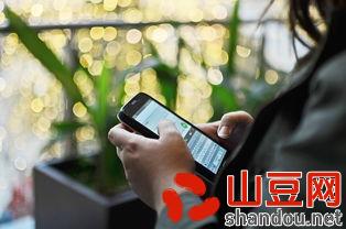 网络最赚钱的app是什么,网赚钱最多是什么网