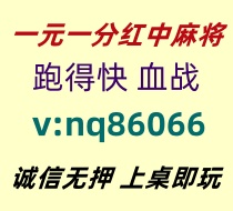 【大器晚成】一元一分红中麻将跑得快《全天在线》