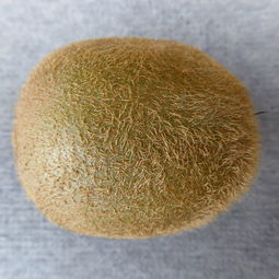 世界氯化钾产量排名前十,世界氯化钾产量排名前十名