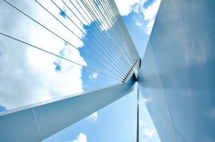 世界上最压抑的门，史上最压抑的电影