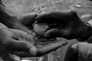 烂肉有什么危害?，世界烂肉王排名前十是谁