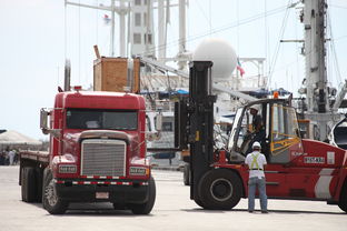 中国最牛进口货车企业,中国有哪些进口卡车品牌