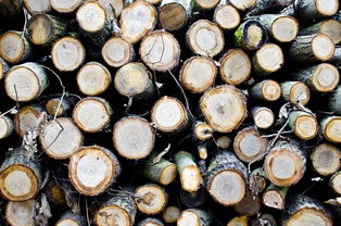 世界钢丝绳厂排名前十，国内钢丝绳厂家排名