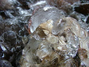 世界上最倒霉的水晶，世界上最倒霉的十个人