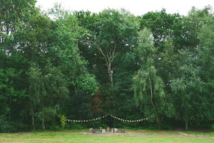 中国最软的树，中国什么树最硬