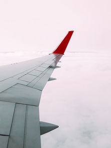 世界上最小飞机排名，世界前十最小飞机排名