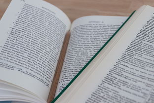 国内最古老的翻译行为，中国最老的翻译