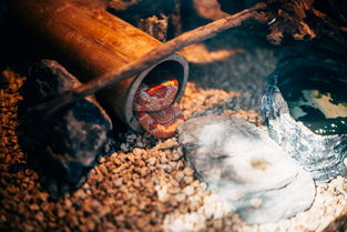 中国最诡异的楼道，中国最诡异的十个鬼楼